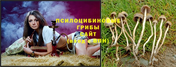 дурь Богданович