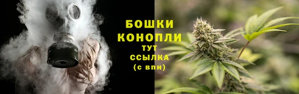 дурь Богданович
