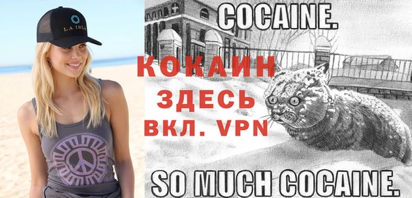дурь Богданович
