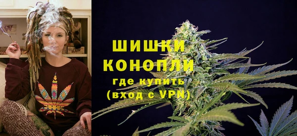 дурь Богданович