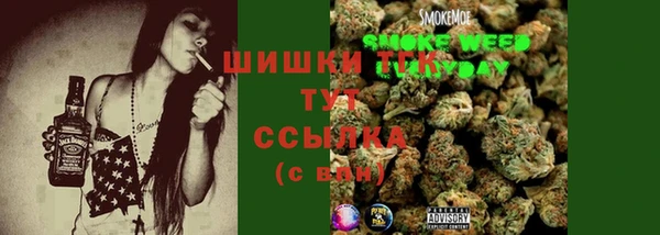 дурь Богданович