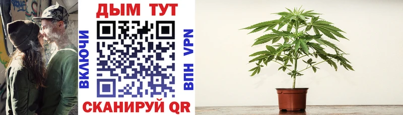 Канабис THC 21%  Купить закладки  Лесозаводск 